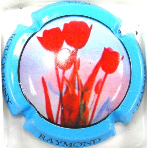 RAYMOND JOEL N°03FLEURS CT BLEU CLAIR