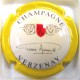 ARNOULD PIERRE N°07 CT JAUNE