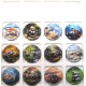 GENERIQUES LES TORTUES LES 12 CAPSULES NUMEROTEES