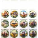 GENERIQUES LA SAVANE LES 12 CAPSULES NUMEROTEES